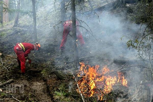 BC省一名男子因2019年残骸燃烧引发的野火被勒令支付45万加元1