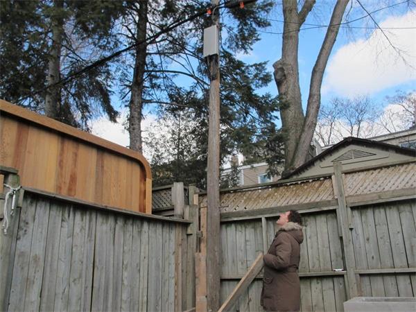 “这就像一场我无法阻止的入侵” 一名男子与加拿大贝尔公司的战争1 “这就像一场我无法阻止的入侵” 一名男子与加拿大贝尔公司的战争1