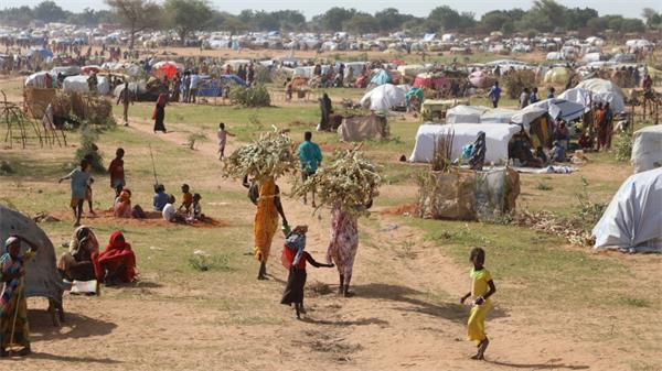 苏丹一座城市发生种族屠杀，造成多达 15,000 人死亡1