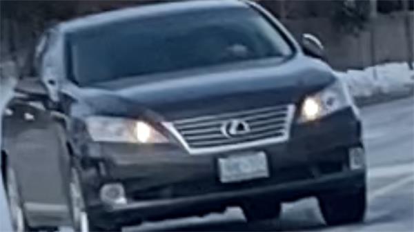 司机在万锦市故意开车撞人，然后逃跑1