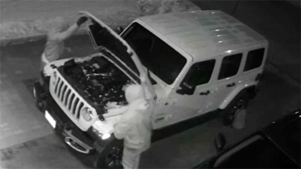 失控了,2024年多伦多劫车案增加一倍多1 失控了,2024年多伦多劫车案增加一倍多1