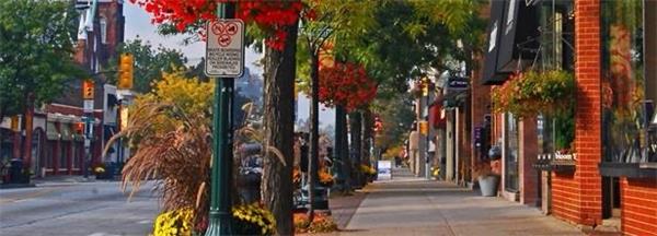 奥克维尔买房卖房Hank 奥克维尔买房卖房Hank