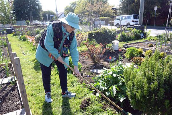 园艺日秘笈!自己如何打造出完美的花园4 园艺日秘笈!自己如何打造出完美的花园4
