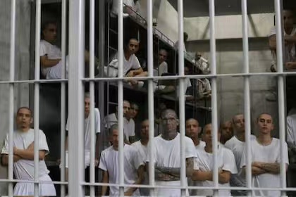 深入了解特朗普计划将拘留的移民送往的Salvador大型监狱1