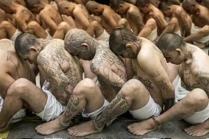 深入了解特朗普计划将拘留的移民送往的Salvador大型监狱4