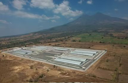 深入了解特朗普计划将拘留的移民送往的Salvador大型监狱8