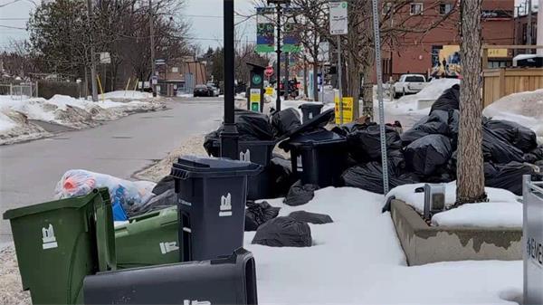 “我们这里有一些非常邋遢的人”持续不断的垃圾问题引发北约克社区的强烈抗议1 “我们这里有一些非常邋遢的人”持续不断的垃圾问题引发北约克社区的强烈抗议1