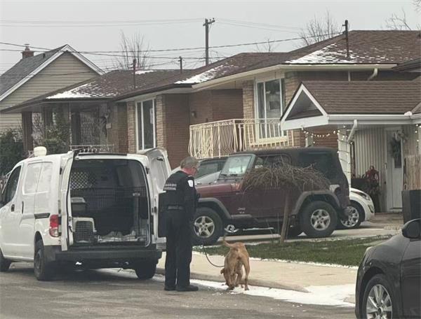 粪便、尿液、霉菌,经过一年的驱逐斗争,汉密尔顿房东回家需要 10 万加元维修5 粪便、尿液、霉菌,经过一年的驱逐斗争,汉密尔顿房东回家需要 10 万加元维修5