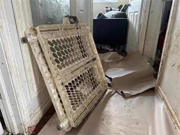 粪便、尿液、霉菌,经过一年的驱逐斗争,汉密尔顿房东回家需要 10 万加元维修6 粪便、尿液、霉菌,经过一年的驱逐斗争,汉密尔顿房东回家需要 10 万加元维修6