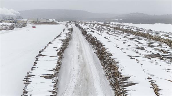 原住民群体向魁北克林业公司发出驱逐通知1 原住民群体向魁北克林业公司发出驱逐通知1
