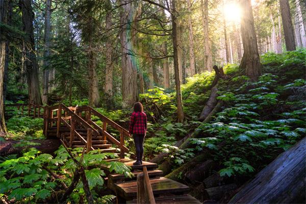 重磅福利！加拿大全国国家公园免费开放，全网最全省钱攻略来了2