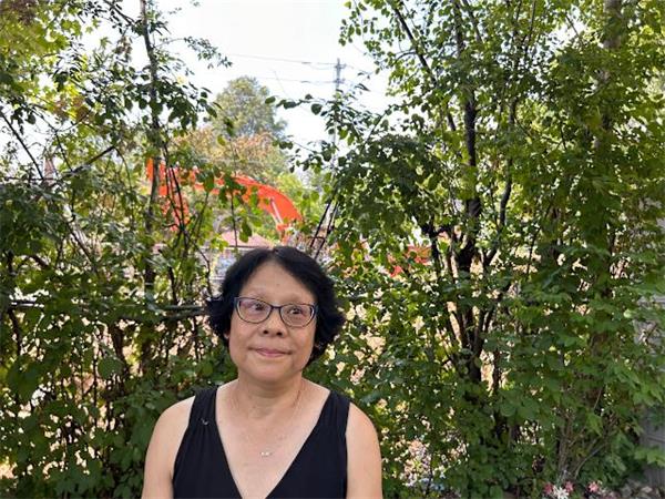 多伦多Leaside百年老树遭开发商非法砍伐,市政府的让步引发争议2 多伦多Leaside百年老树遭开发商非法砍伐,市政府的让步引发争议2