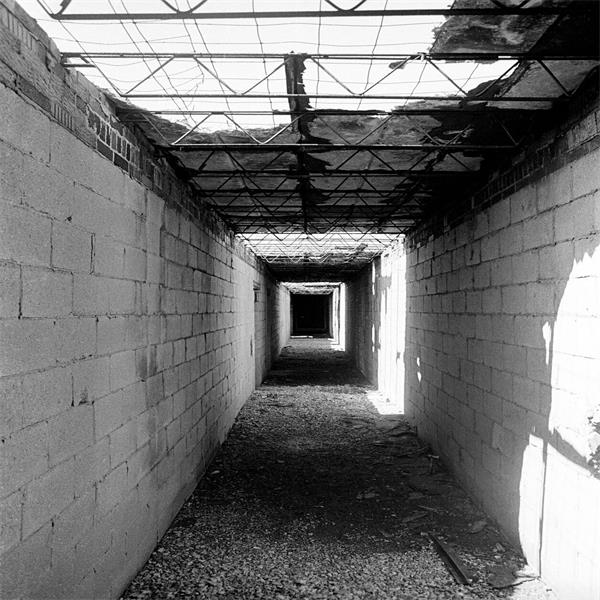 多伦多“湾景幽灵”：一座废弃建筑如何困扰城市二十年3