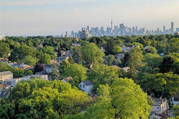 多伦多新出台的驱逐条例对小房东来说是个坏消息1