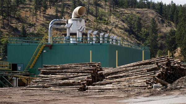 美国或再对加拿大软木行业加征关税，BC省工厂面临倒闭风险2