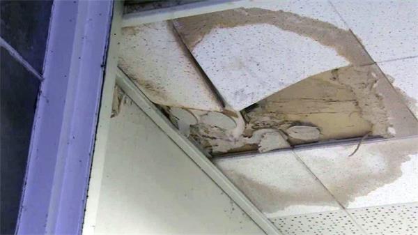 安省福特政府大力推广建新学校,但160亿加元维修学校积压的问题却激增1 安省福特政府大力推广建新学校,但160亿加元维修学校积压的问题却激增1