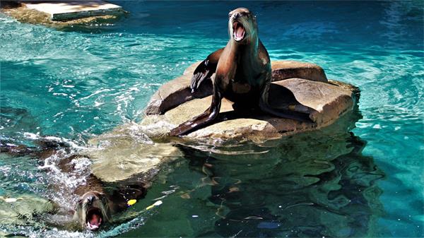 BC省 100 个最佳活动终极指南，带你领略它的魅力2