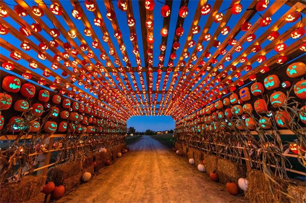 今年秋天，加拿大最大的万圣节将为安大略省新城带来惊悚景象1