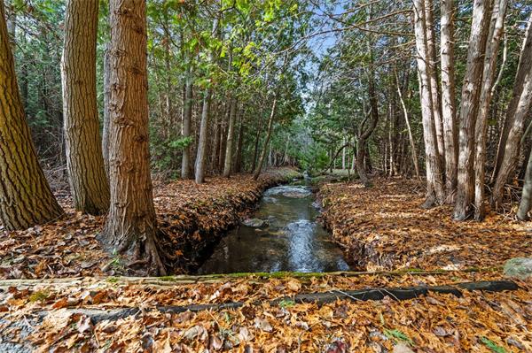 令人惊叹的豪华安大略平房坐落在美丽的森林天堂7