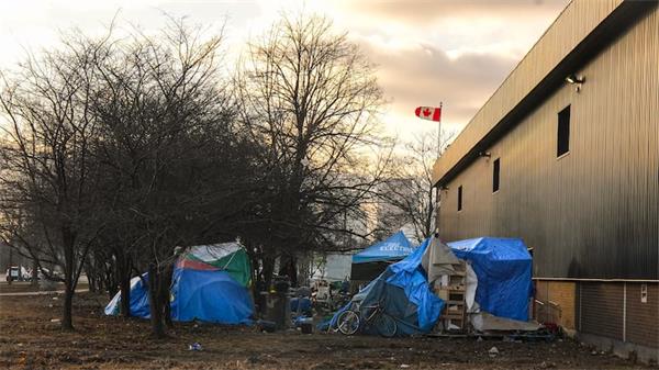 为什么越来越多的加拿大老年人无家可归1