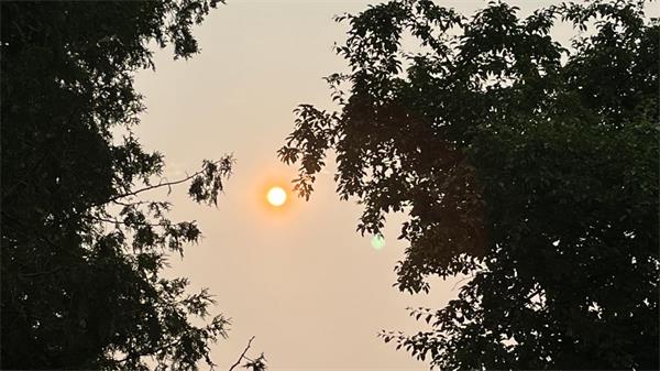 渥太华卫生网络称气候危机是本世纪最大的健康威胁1 渥太华卫生网络称气候危机是本世纪最大的健康威胁1