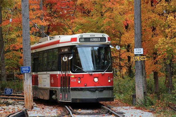 安大略秋色最佳体验,乘坐复古有轨电车穿越金色森林1 安大略秋色最佳体验,乘坐复古有轨电车穿越金色森林1