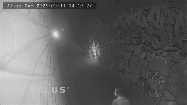 警方正在搜寻在汉密尔顿一家商店喷涂仇恨涂鸦的嫌疑人1 警方正在搜寻在汉密尔顿一家商店喷涂仇恨涂鸦的嫌疑人1