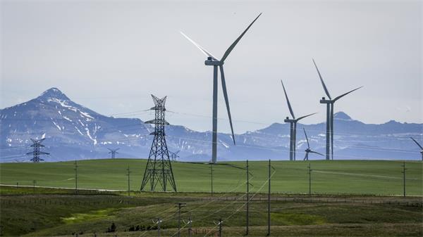 “这不再是我们了”：加拿大风能之都的可再生能源从繁荣走向衰落1