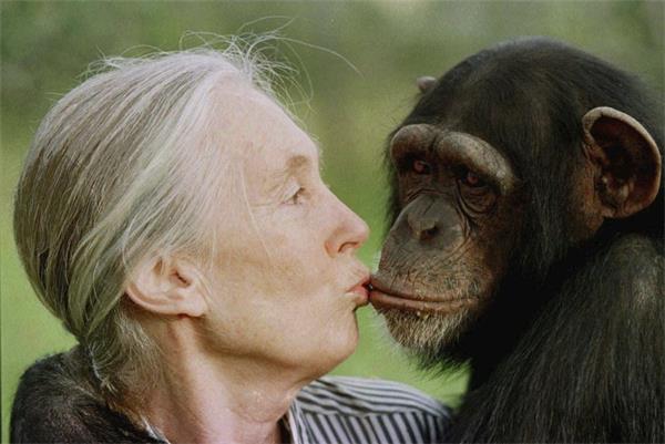 Jane Goodall 用一生倾听大自然的声音1