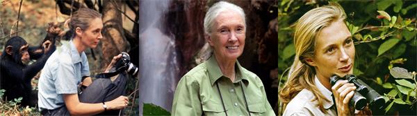 Jane Goodall 用一生倾听大自然的声音2