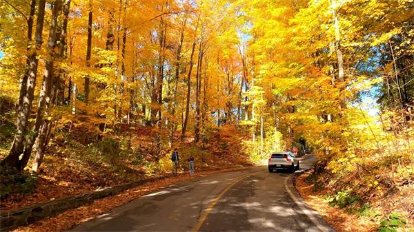 沿着 Forks of the Credit Road,看一场安省最温柔的秋天1 沿着 Forks of the Credit Road,看一场安省最温柔的秋天1