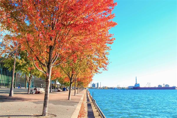 多伦多10 个地方可以欣赏到绝美的秋色1