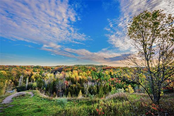 多伦多10 个地方可以欣赏到绝美的秋色4