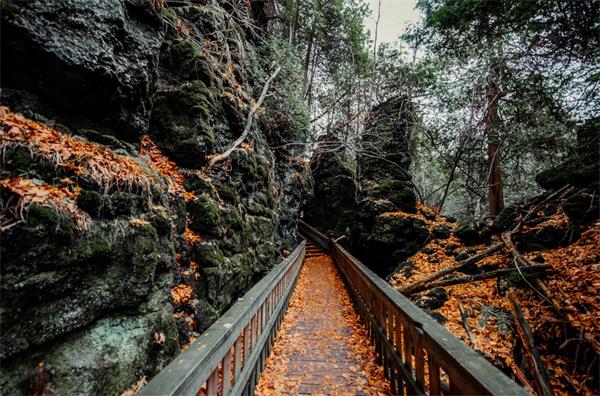 藏在山谷里的秋天，不拥挤、不喧闹的赏枫地：Mono Cliffs 的静谧自然魅力1