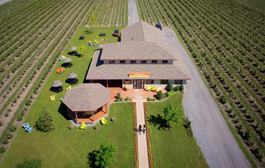 Prince Edward County 的秋末小镇:葡萄酒、湖光与慢生活3 Prince Edward County 的秋末小镇:葡萄酒、湖光与慢生活3