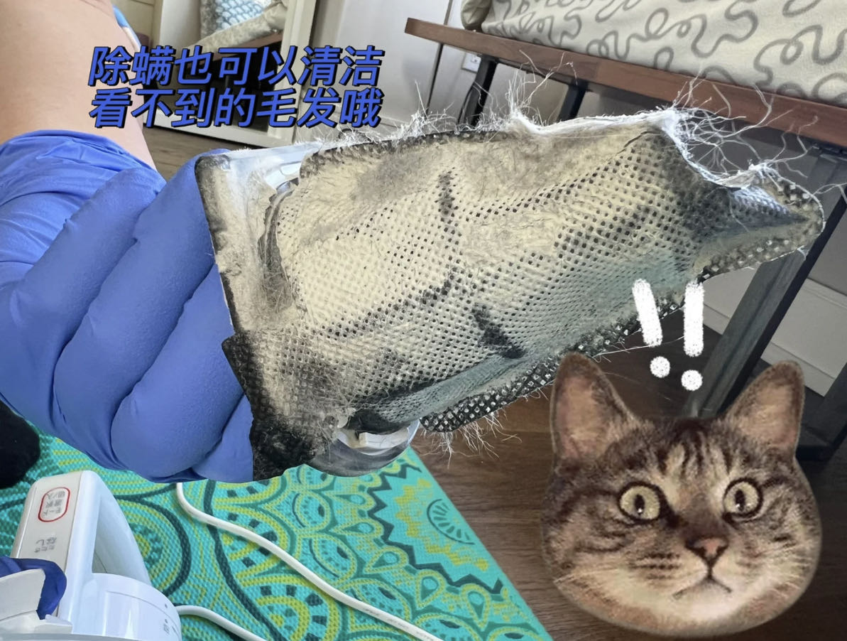 除螨清洁，松果管家来帮忙！让您住的舒心，享受干净整洁的生活2