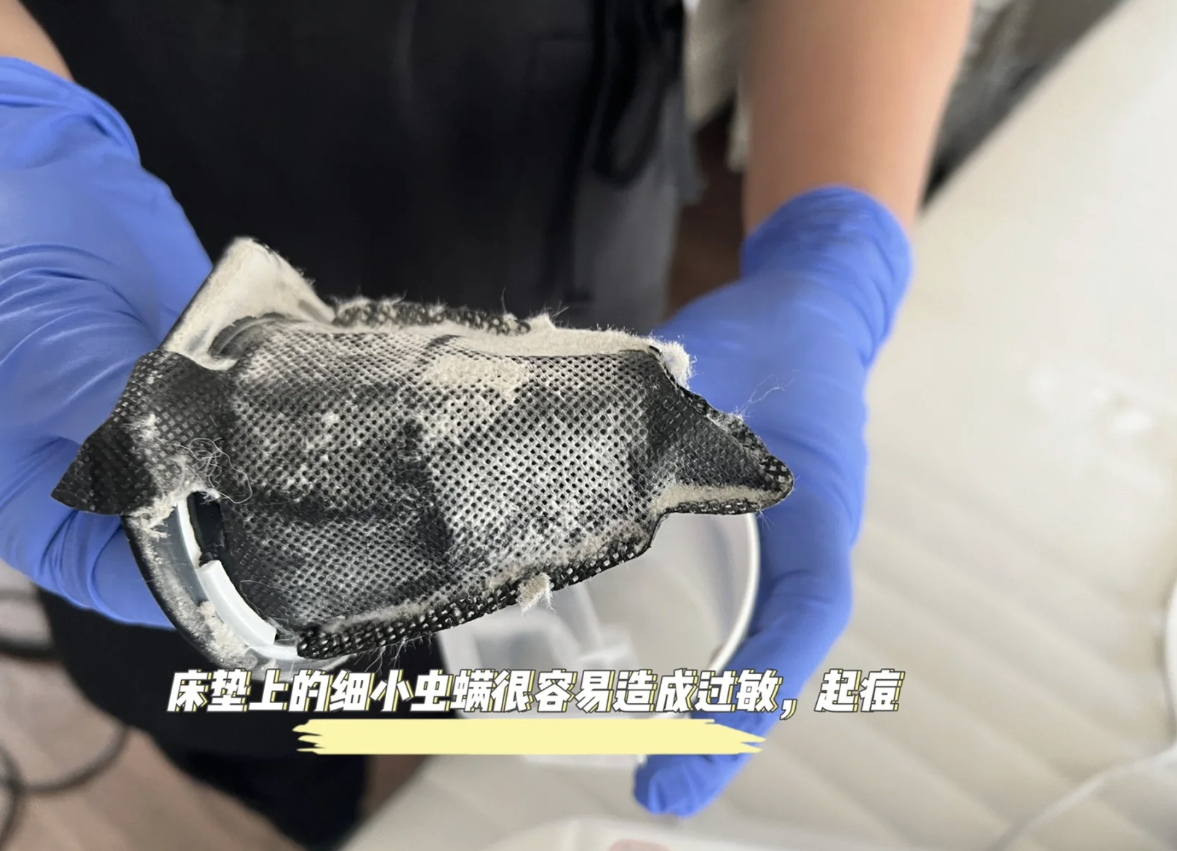 除螨清洁，松果管家来帮忙！让您住的舒心，享受干净整洁的生活4