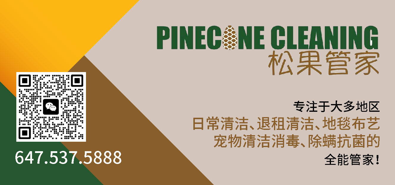 除螨清洁，松果管家来帮忙！让您住的舒心，享受干净整洁的生活5