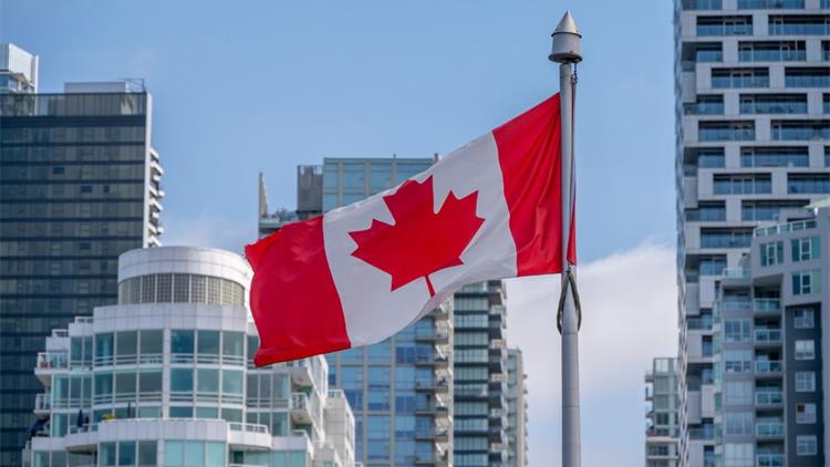 不再盲等！加拿大移民局IRCC上线新系统，让枫叶卡与公民申请更透明