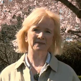 已完成UBC认证课程仍被拒签，助产士移民申请陷入僵局