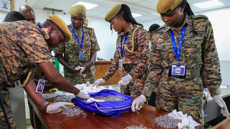 携带数千只蚂蚁试图出境，中国男子在肯尼亚被判刑