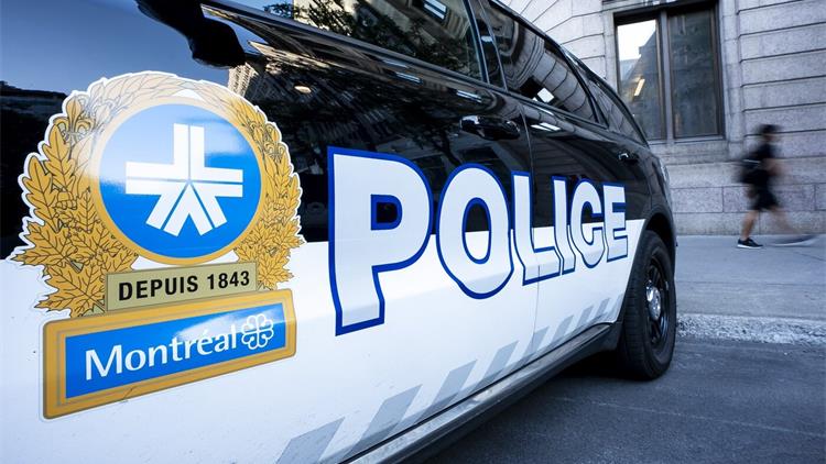 【视频】离谱一幕！男子开走蒙特利尔警车，30分钟后撞车落网