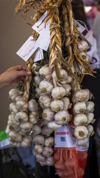 大温7月底至8月美食节扎堆登场：泰国美食、螃蟹节、唐人街夜市都来了