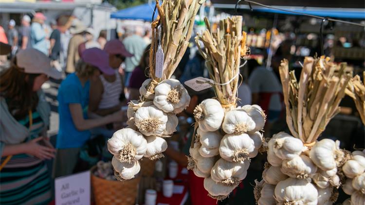 大温7月底至8月美食节扎堆登场：泰国美食、螃蟹节、唐人街夜市都来了