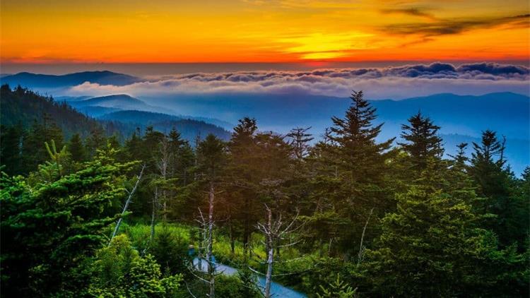 秋天最值得去的7个地方：免费森林、童话小镇、金色山谷，还有通往北极圈的公路